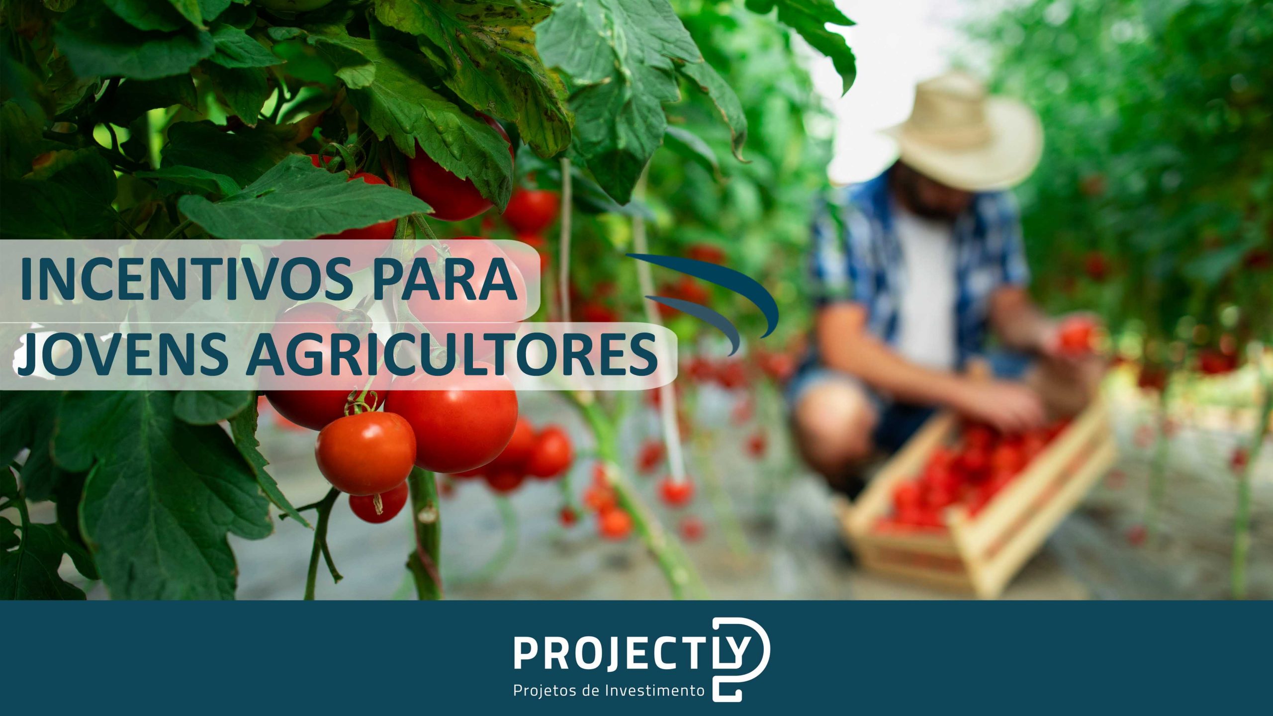 Incentivos para Jovens Agricultores